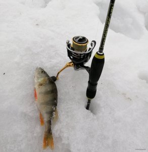 IMG_20190207_141837.jpg