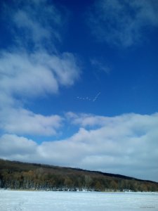 IMG_20190207_102447.jpg