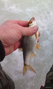 IMG_20190207_110252.jpg