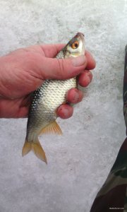 IMG_20190207_142117.jpg