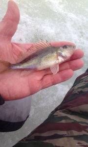 IMG_20190207_133952.jpg