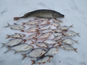IMG_20190208_165033.jpg