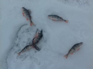 20190209_131903.jpg