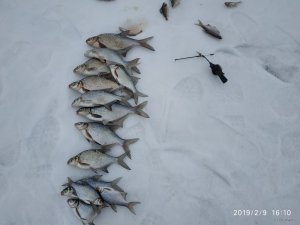 IMG_20190209_161017.jpg