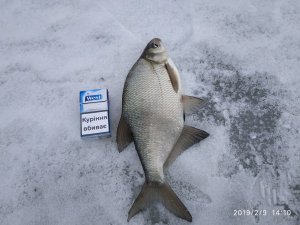 IMG_20190209_141034.jpg