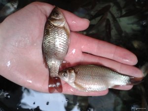 20190206_125255.jpg