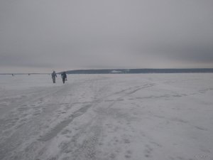 IMG_20190209_164618.jpg