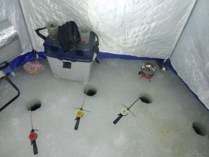 IMG_20190210_003217.jpg
