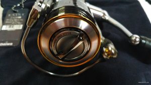 IMG_20170526_194555.jpg