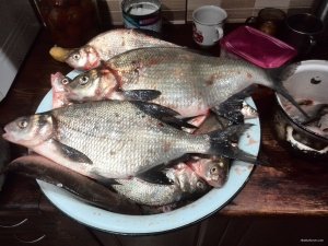 IMG_20190210_184843.jpg