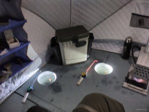 IMG_20190209_174654.jpg