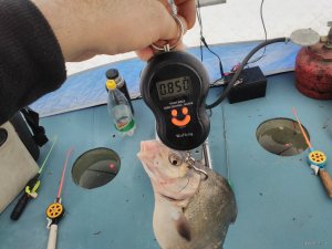 IMG_20190210_130457.jpg