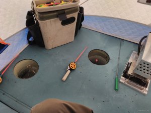 IMG_20190210_142107.jpg