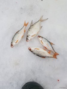 20190210_114816.jpg