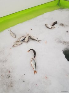 20190210_154934.jpg