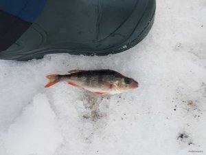 20190210_162155.jpg