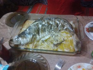 IMG_20190211_185456.jpg