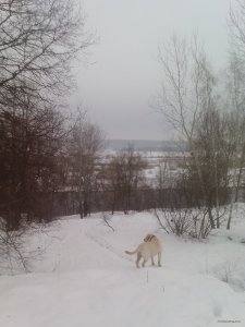 IMG_20190211_081034.jpg