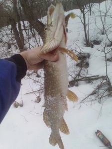 IMG_20190211_081817.jpg