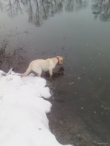 IMG_20190211_124739.jpg