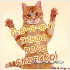 images.jpg