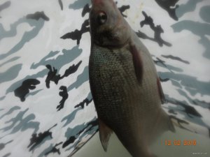 DSC05728.JPG