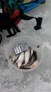IMG_20190210_133241.jpg