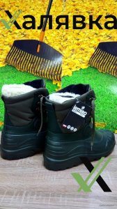 IMG_20190215_105403.jpg