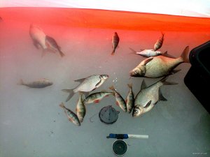 IMG_20190215_185336_208.jpg