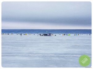 20190216_092539-2016x1512-01.jpeg