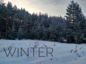 IMG_20190215_075125_HDR-02.jpeg