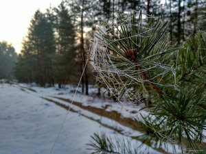 IMG_20190215_075831_HDR-01.jpeg