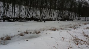20190216_102612.jpg