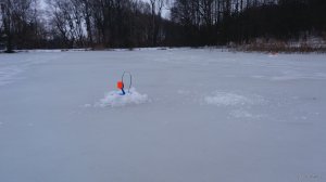 20190217_072754.jpg