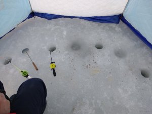IMG_20190215_081637.jpg
