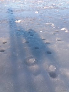 20190218_160359.jpg