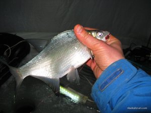 IMG_2674.JPG