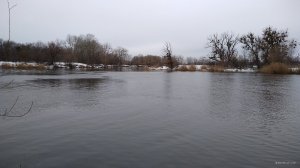 IMG_20190217_084818.jpg