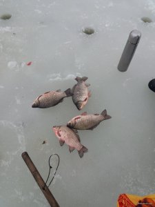 20190220_135829.jpg