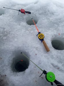 20190220_124422.jpg