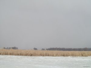 IMG_1617.JPG