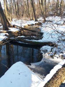 20190223_151448.jpg