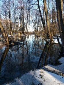 20190223_151837.jpg