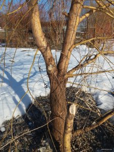 20190223_145934.jpg