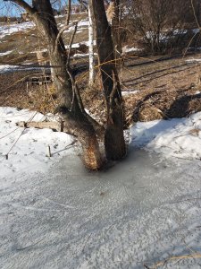 20190223_150027.jpg