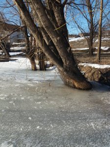 20190223_150037.jpg
