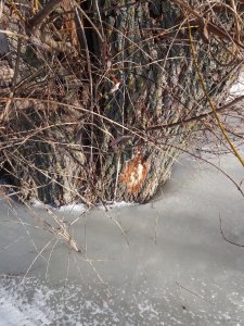 20190223_150415.jpg