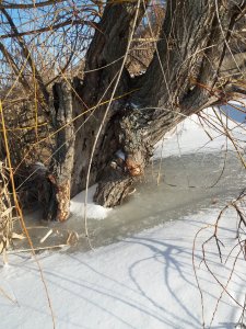 20190223_150508.jpg