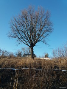 20190223_154508.jpg