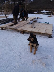 20190223_170240.jpg